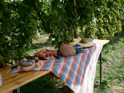 Photo: Weingut Holzmühle